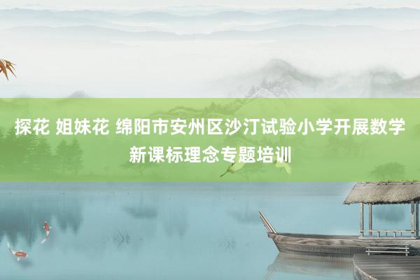 探花 姐妹花 绵阳市安州区沙汀试验小学开展数学新课标理念专题培训