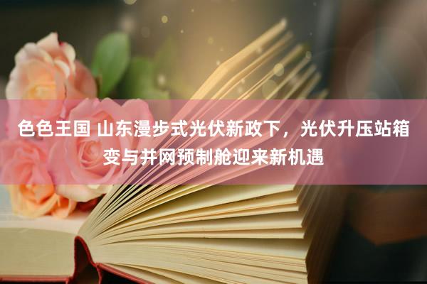 色色王国 山东漫步式光伏新政下，光伏升压站箱变与并网预制舱迎来新机遇