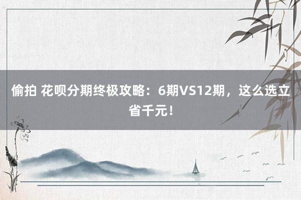 偷拍 花呗分期终极攻略：6期VS12期，这么选立省千元！