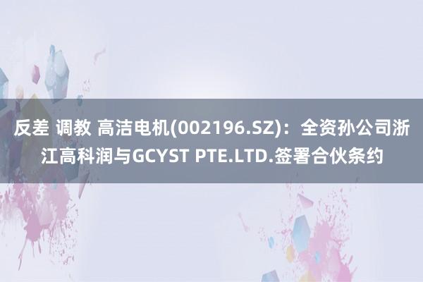 反差 调教 高洁电机(002196.SZ)：全资孙公司浙江高科润与GCYST PTE.LTD.签署合伙条约