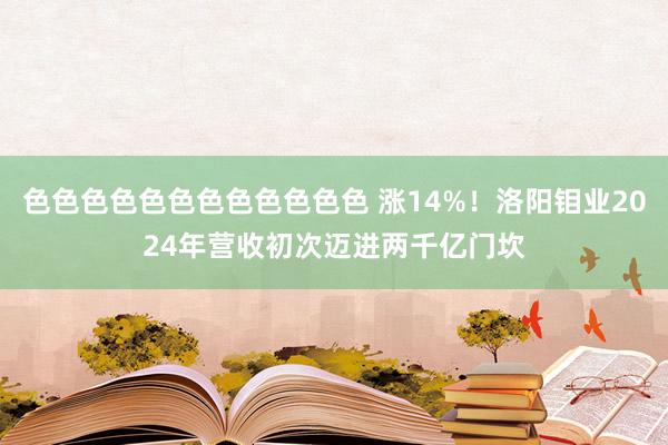 色色色色色色色色色色色色 涨14%！洛阳钼业2024年营收初次迈进两千亿门坎