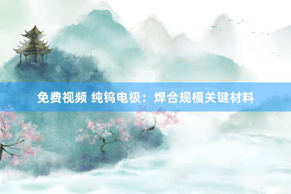 免费视频 纯钨电极：焊合规模关键材料