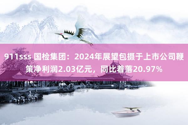 911sss 国检集团：2024年展望包摄于上市公司鞭策净利润2.03亿元，同比着落20.97%
