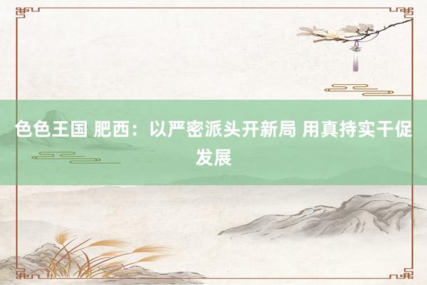 色色王国 肥西：以严密派头开新局 用真持实干促发展