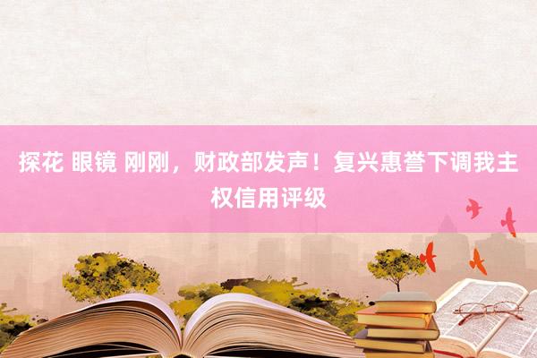 探花 眼镜 刚刚，财政部发声！复兴惠誉下调我主权信用评级