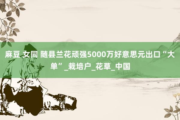 麻豆 女同 随县兰花顽强5000万好意思元出口“大单”_栽培户_花草_中国
