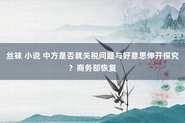 丝袜 小说 中方是否就关税问题与好意思伸开探究？商务部恢复