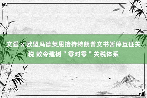 文爱 x 欧盟冯德莱恩接待特朗普文书暂停互征关税 敕令建树＂零对零＂关税体系