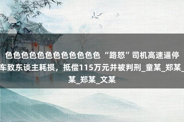 色色色色色色色色色色色色 “路怒”司机高速逼停大货车致东谈主耗损，抵偿115万元并被判刑_童某_郑某_文某
