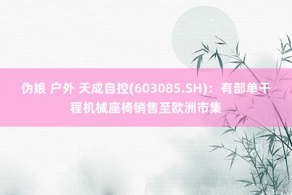 伪娘 户外 天成自控(603085.SH)：有部单干程机械座椅销售至欧洲市集