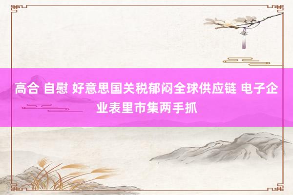 高合 自慰 好意思国关税郁闷全球供应链 电子企业表里市集两手抓