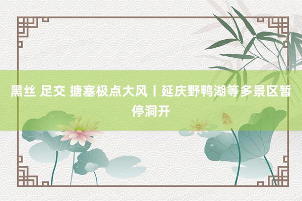 黑丝 足交 搪塞极点大风丨延庆野鸭湖等多景区暂停洞开