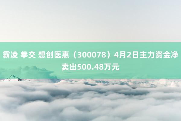 霸凌 拳交 想创医惠（300078）4月2日主力资金净卖出500.48万元
