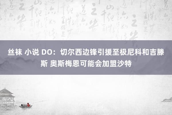 丝袜 小说 DO：切尔西边锋引援至极尼科和吉滕斯 奥斯梅恩可能会加盟沙特