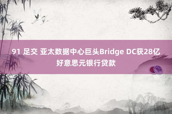 91 足交 亚太数据中心巨头Bridge DC获28亿好意思元银行贷款