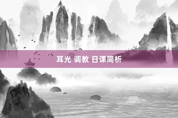 耳光 调教 日课简析