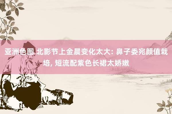 亚洲色图 北影节上金晨变化太大: 鼻子委宛颜值栽培， 短流配紫色长裙太娇嫩
