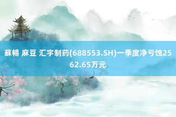 蘇暢 麻豆 汇宇制药(688553.SH)一季度净亏蚀2562.65万元