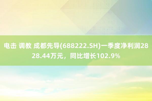 电击 调教 成都先导(688222.SH)一季度净利润2828.44万元，同比增长102.9%