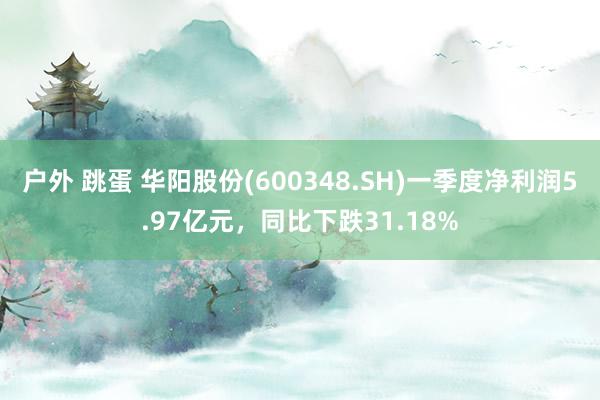 户外 跳蛋 华阳股份(600348.SH)一季度净利润5.97亿元，同比下跌31.18%