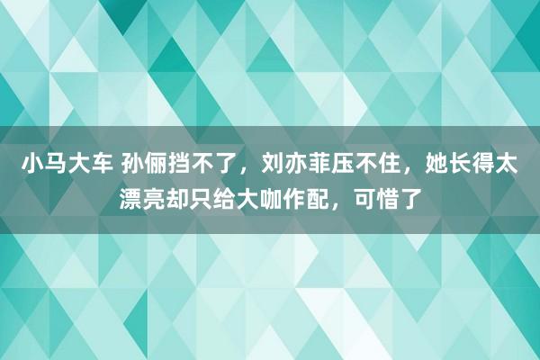 小马大车 孙俪挡不了，刘亦菲压不住，她长得太漂亮却只给大咖作配，可惜了